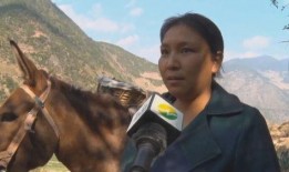 马帮的孩子 在线观看,探寻西南边陲的青春记忆